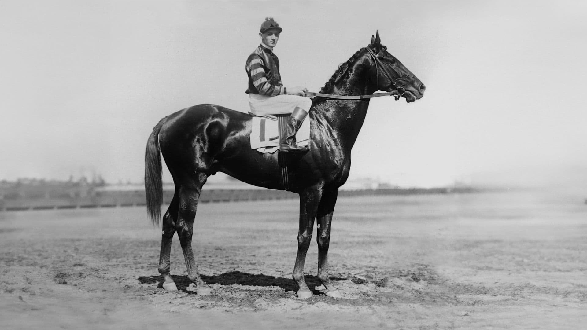Cavalos Famosos: Man o' War, o Ícone das Corridas Americanas
