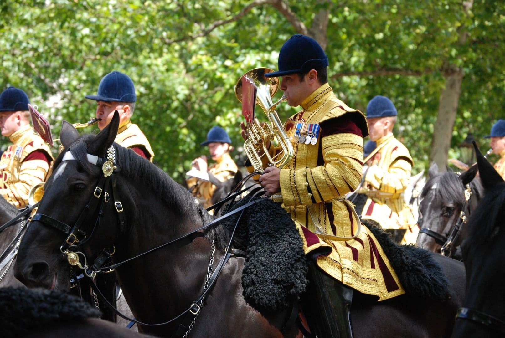 Cavalos e Música: A Relação Entre Cavalos e a Arte Musical