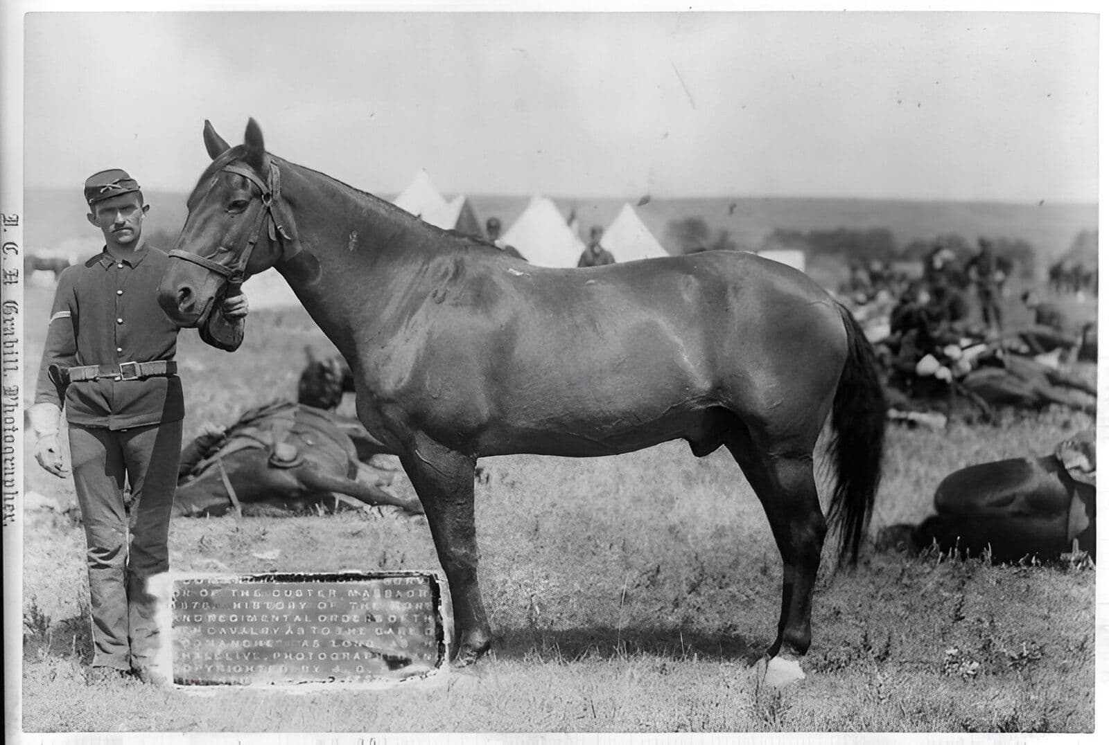 Cavalos Famosos: Comanche e Sua Coragem na Batalha de Little Bighorn