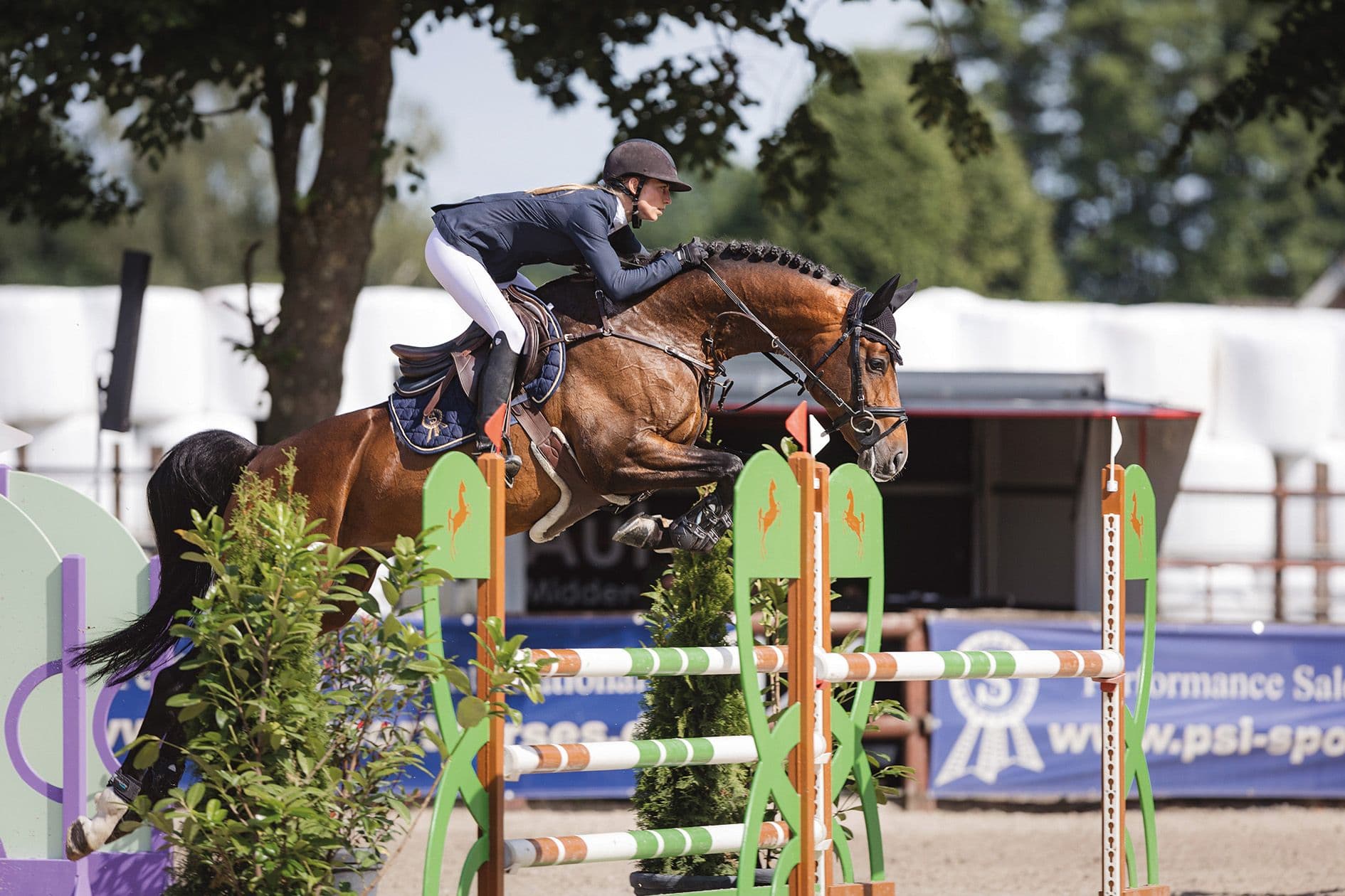Nutrição Adequada: A Chave para o Desempenho de Alto Nível do Cavalo Atleta