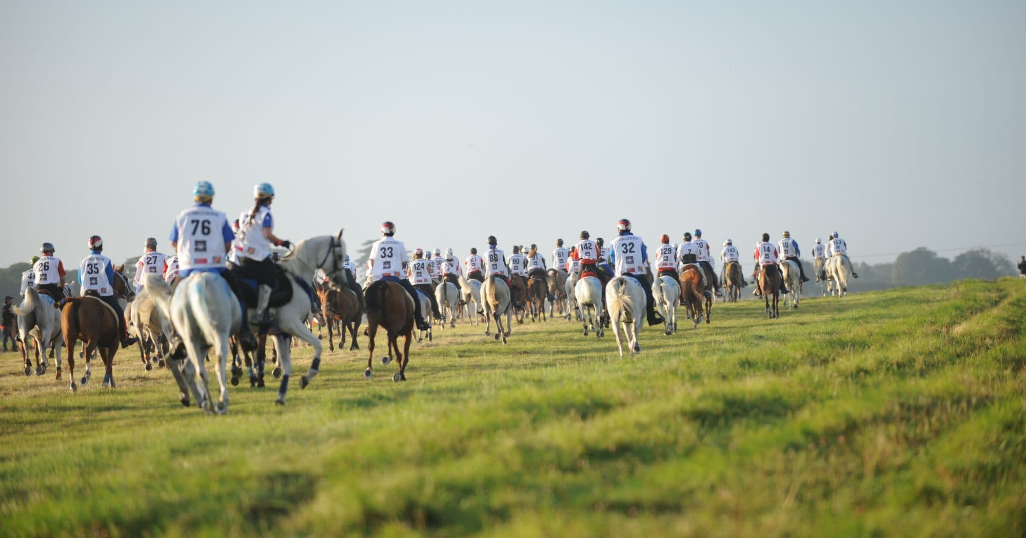 Como Funciona o Enduro Equestre: Explorando a Modalidade de Resistência