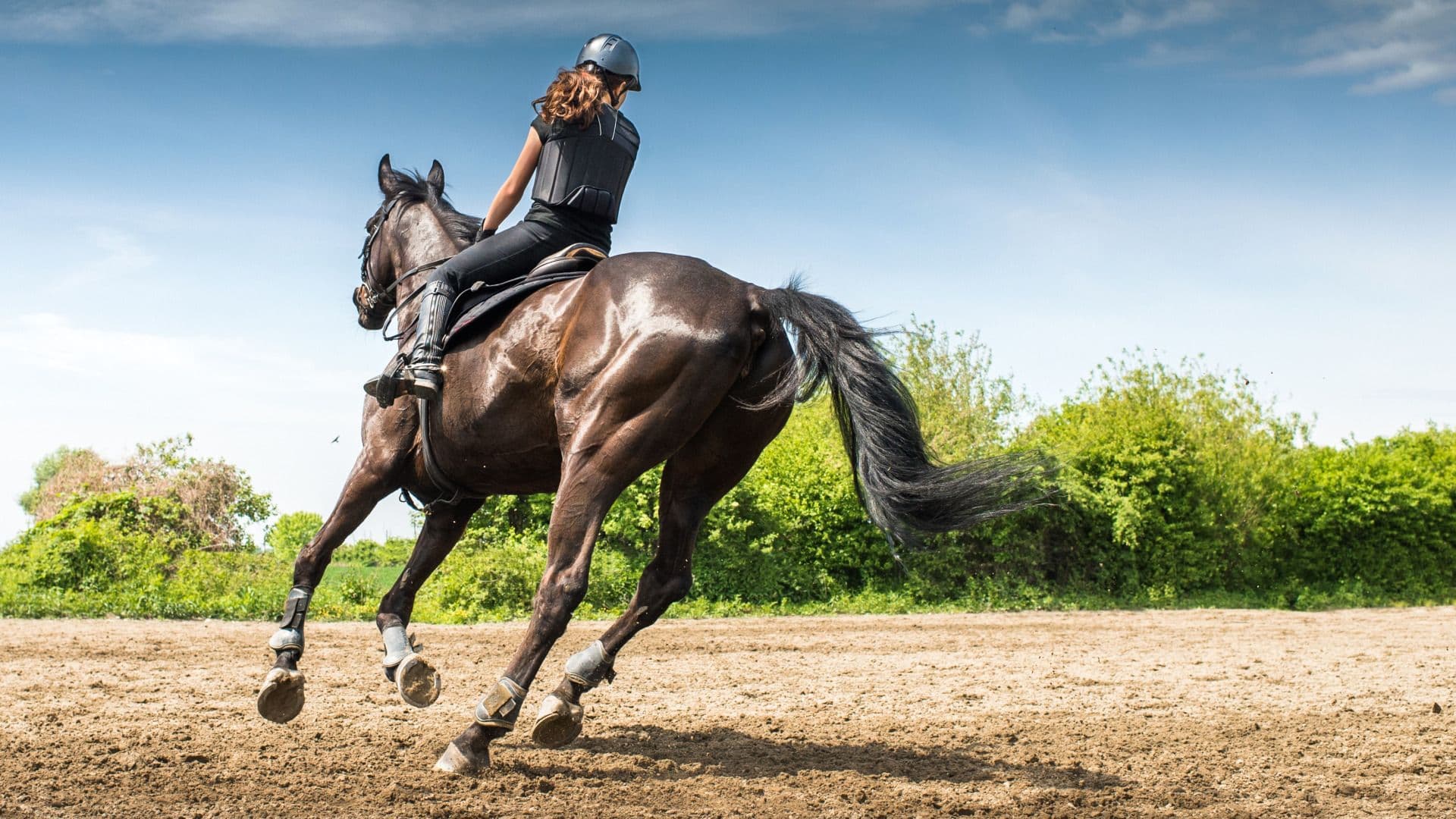 Identificando o Baixo Desempenho em Cavalos: Sinais e Soluções