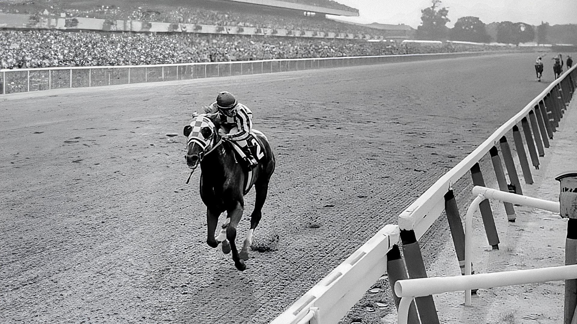 Cavalos Famosos: Secretariat, o Lendário Campeão da Tríplice Coroa