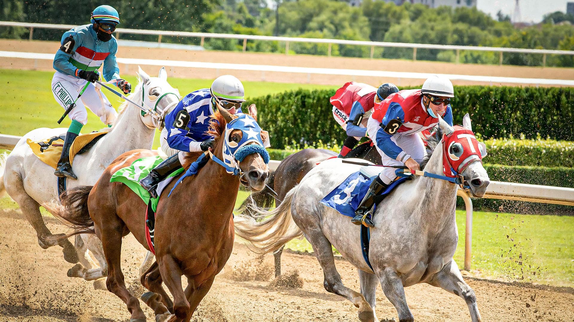 Explorando a Velocidade: As Três Raças de Cavalos de Corrida que Quebram Recordes