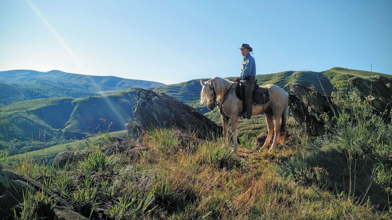 Turismo Equestre: Roteiros Imperdíveis para Explorar a Cavalo