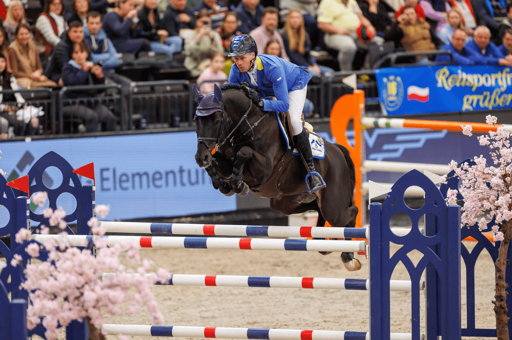 Cavalos e Suas Origens: O Prestígio do Cavalo Zangersheide