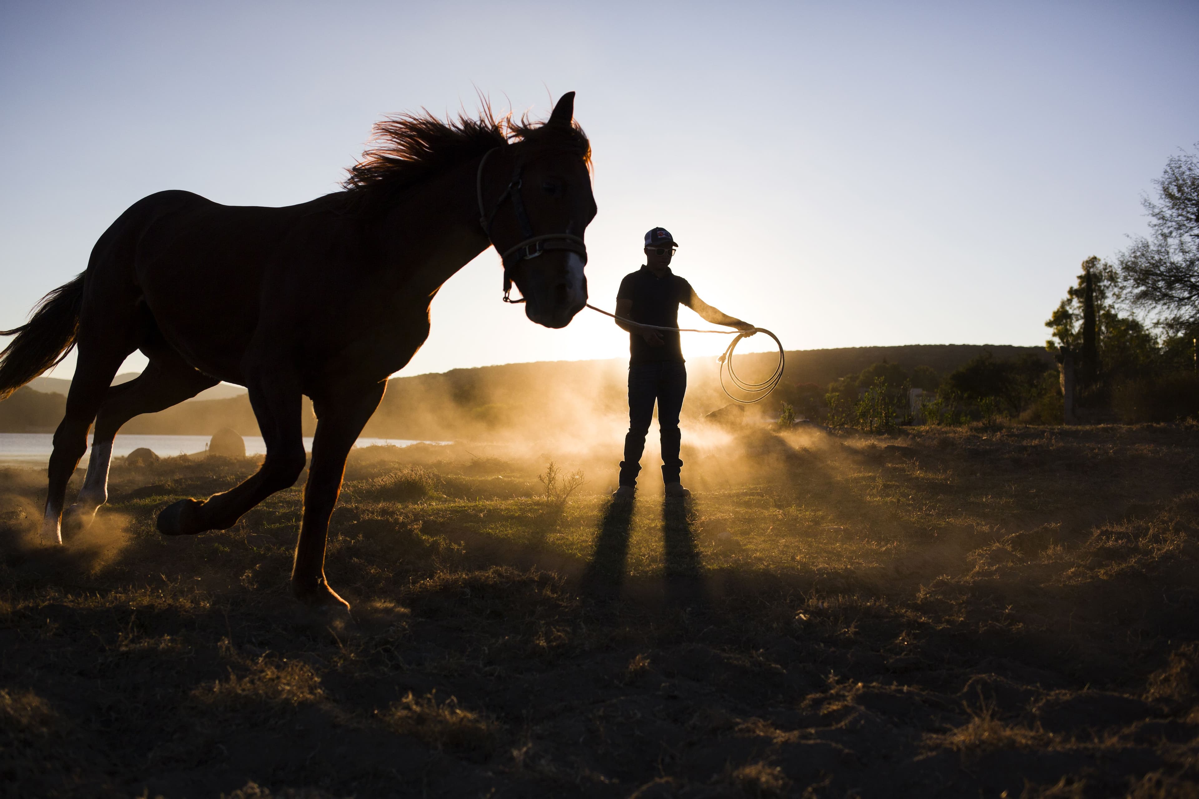 Estratégias para Melhorar o Condicionamento Físico do Seu Cavalo