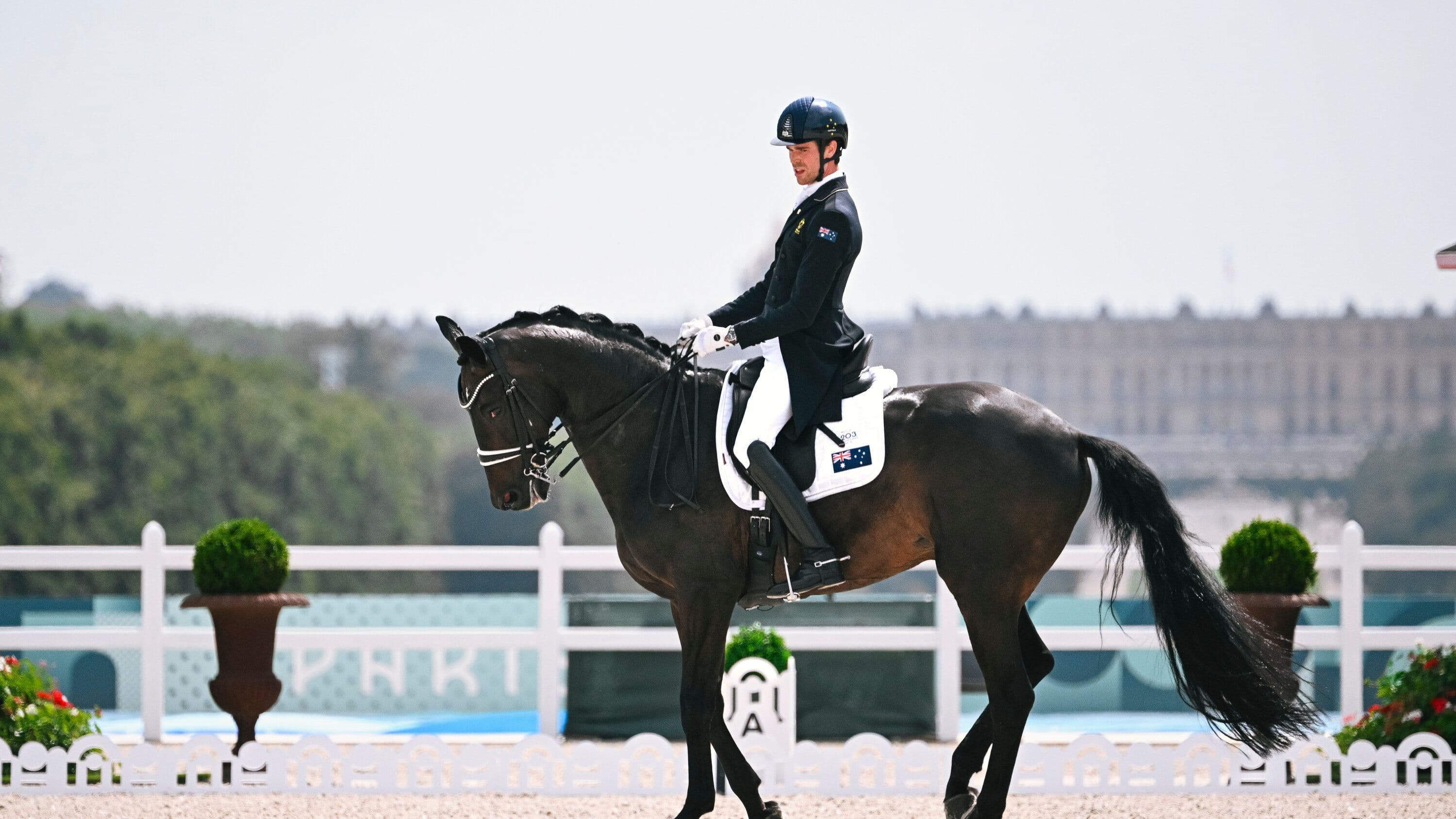 A Importância do Condicionamento Físico no Desempenho do Cavalo Atleta