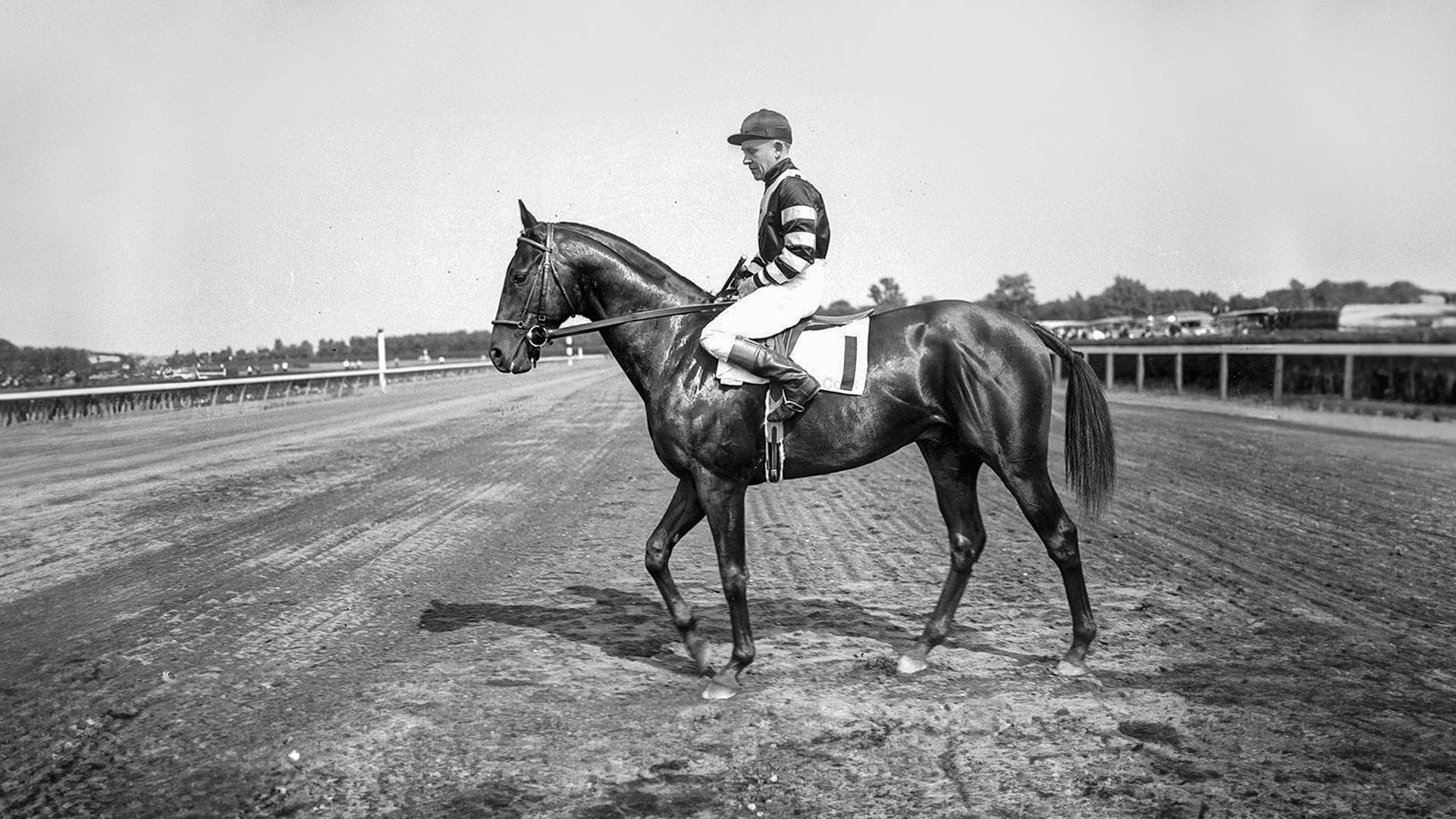 Cavalos Famosos: War Admiral — A Lenda das Corridas Americanas