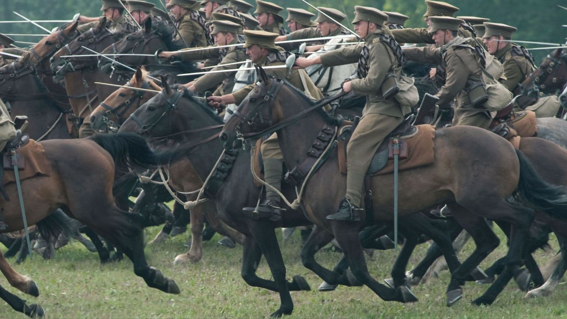 Os Cavalos na Guerra: De Alexandre o Grande aos Conflitos Modernos