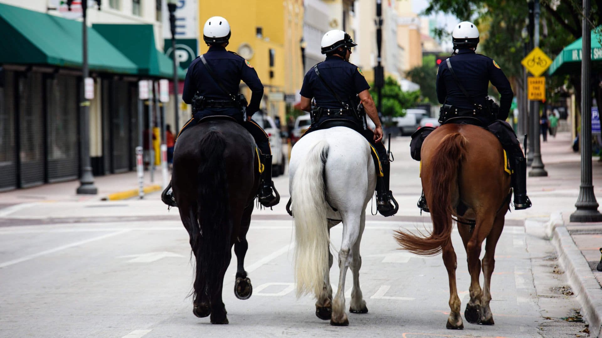Cavalos em Ambientes Urbanos: Quando o Urbanismo Encontra a Vida Equestre