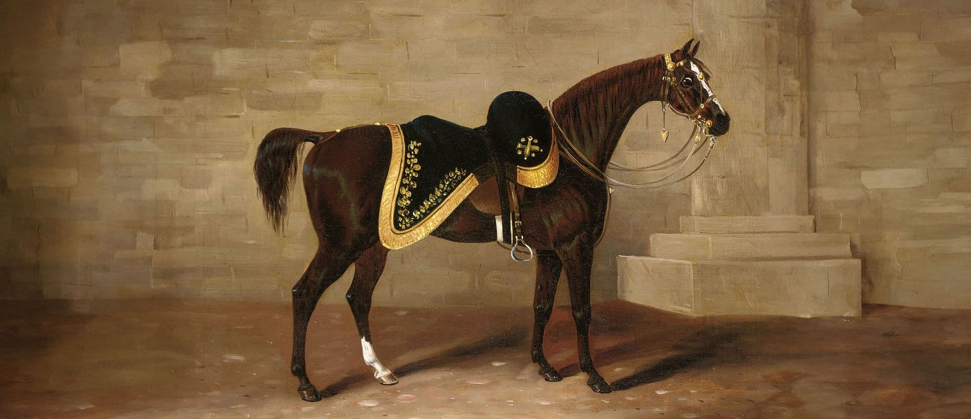 Cavalos Famosos: Copenhagen – O Cavalo de Guerra do Duque de Wellington