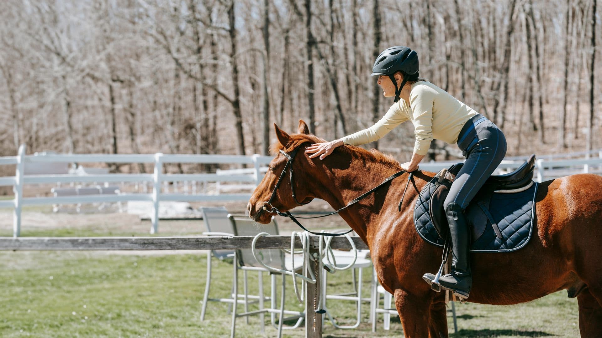 O Impacto dos Esportes Equestres na Saúde e Bem-Estar dos Cavalos