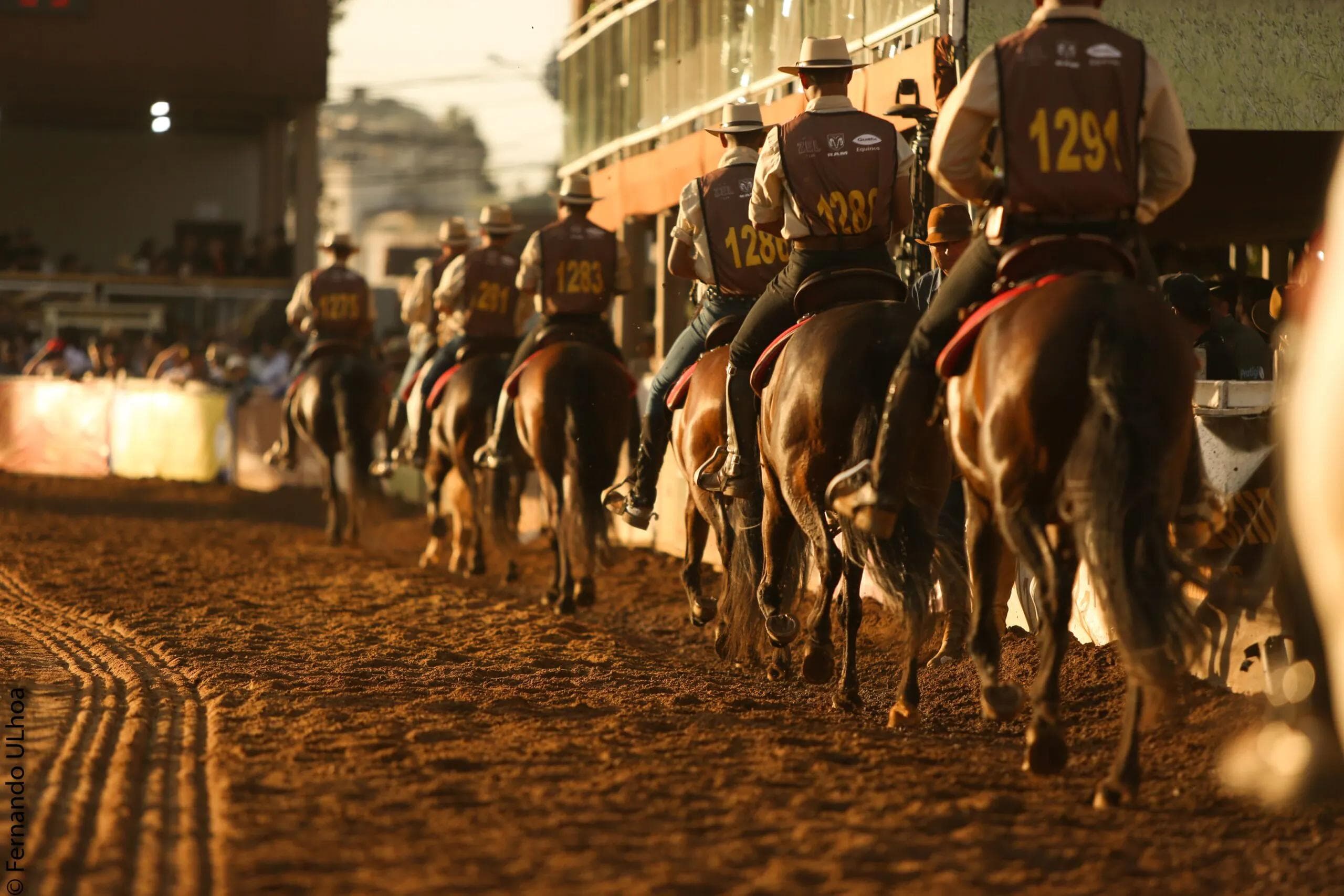A Economia do Setor Equestre no Brasil: Impactos e Perspectivas